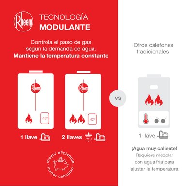 CALEFONT RHEEM 10 LITROS GAS LICUADO TIRO FORZADO - 5