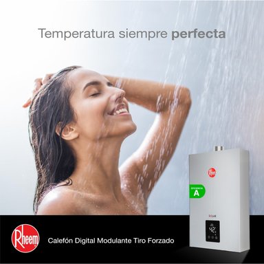 CALEFONT RHEEM 10 LITROS GAS LICUADO TIRO FORZADO - 6