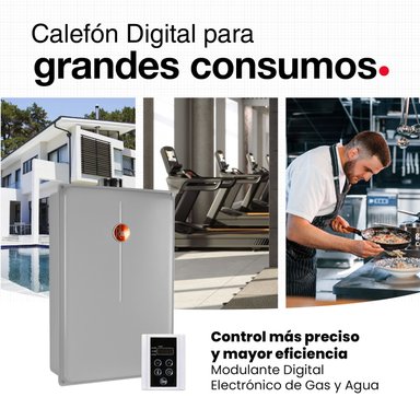 CALEFONT 28 LITROS GAS LICUADO TIRO FORZADO RHEEM - 9