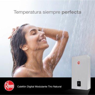 CALEFONT 10 LITROS GAS LICUADO TIRO NATURAL RHEEM - 8