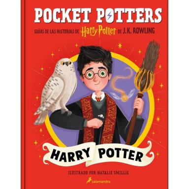 POCKET POTTERS - HARRY POTTER - 1