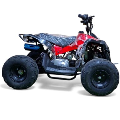 CUATRIMOTO ABMMOTOS RAPTOR 110CC - AUTOMATICA - 4