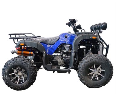 CUATRIMOTO 300CC-AUTOMATICA - 2