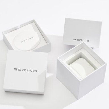 AROS BERING 729-10-05 PLATEADO - 2