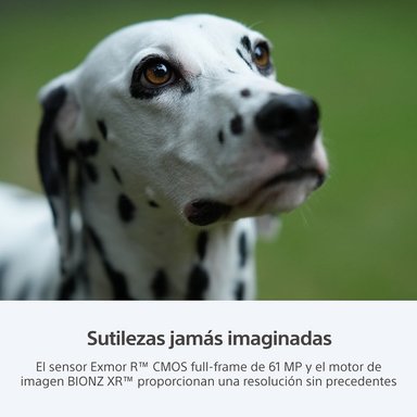 CÁMARA SONY ILCE-7RM5 USB MICRO HDMI 61 MP APROX HIGH RES FULL FRAME - 8
