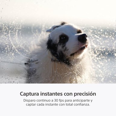 CAMARA HIBRIDA FULL-FRAME A7 V ILCE-7M5 SONY - 6