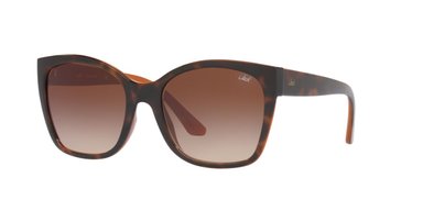 ANTEOJOS DE SOL JACK PACIFIC JK1036M  HAVANA MUJER - 2