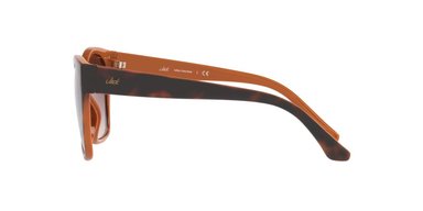 ANTEOJOS DE SOL JACK PACIFIC JK1036M  HAVANA MUJER - 3