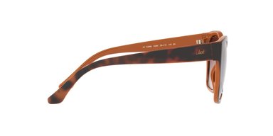 ANTEOJOS DE SOL JACK PACIFIC JK1036M  HAVANA MUJER - 6