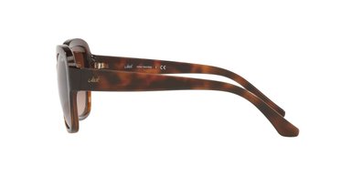 ANTEOJOS DE SOL JACK PACIFIC JK1025M  HAVANA MUJER - 3