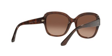 ANTEOJOS DE SOL JACK PACIFIC JK1025M  HAVANA MUJER - 5