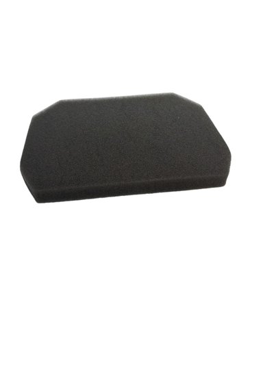 FILTRO DE AIRE EXPRESS 100 - 2