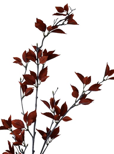 RAMA DECORATIVA DE EUCALIPTO ROJO 120 CMS. - 3