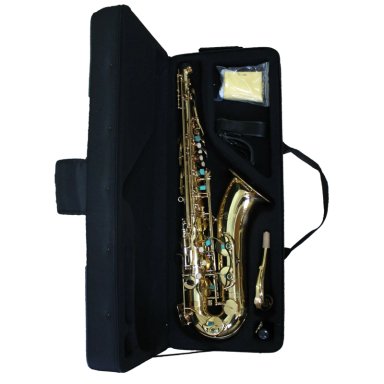 SAXOFON ALTO ALLEGRO DORADO ALL6430L - 2