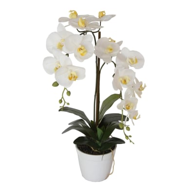 ORQUÍDEA BLANCA DE 65 CM EN MACETERO - 3
