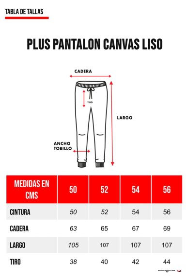 PLUS PANTALON CANVAS LISO CHESTER GRIS - 5