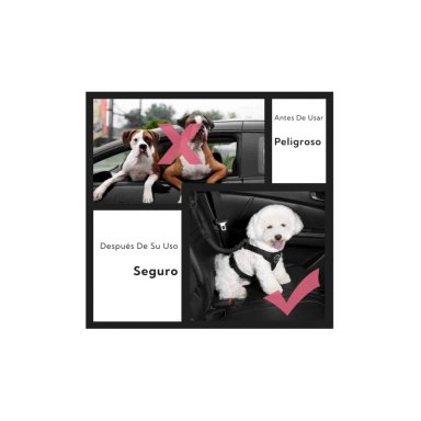 CORREA LEASH PARA MASCOTAS PRO OUTDOOR - 3