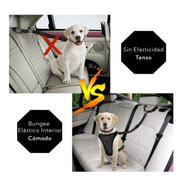 CORREA LEASH PARA MASCOTAS PRO OUTDOOR - 6