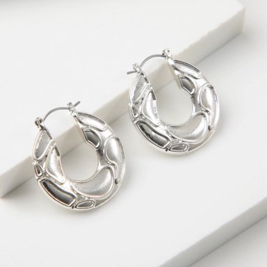 AROS ARGOLLAS AINA PLATEADO TATIENNE - 1