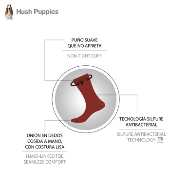 CALCETÍN HOMBRE HUSH-PUPPIES NONTIGHT ALGODÓN BROADRIB CAFÉ - 2