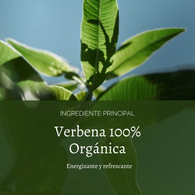 LECHE DE CUERPO VERBENA CITRUS 250 ML L'OCCITANE - 4