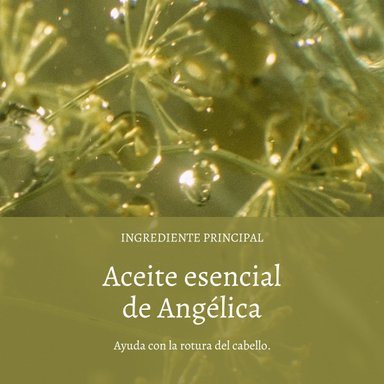 ACEITE CAPILAR REPARADOR AROMACOLOGÍA 100 ML L'OCCITANE - 3