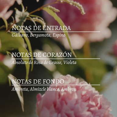 PERFUME MUJER PEONIA EDT 50 ML L'OCCITANE - 3