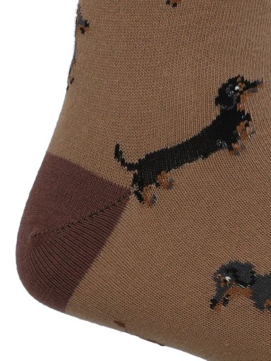 CALCETIN ALGODON HOMBRE C CUFF DACHSHND CAFE  HUSH PUPPIES - 2