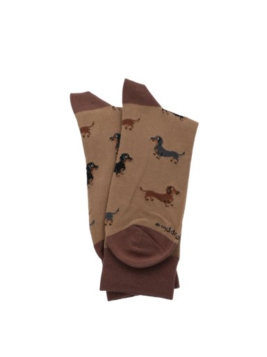 CALCETIN ALGODON HOMBRE C CUFF DACHSHND CAFE  HUSH PUPPIES - 3