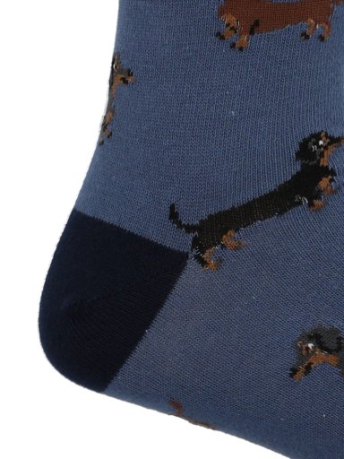 CALCETIN ALGODON HOMBRE C CUFF DACHSHND AZUL HUSH PUPPIES - 2