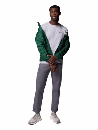 PARKA HOMBRE DELTA RIDGE II DOWN VERDE COLUMBIA - 8