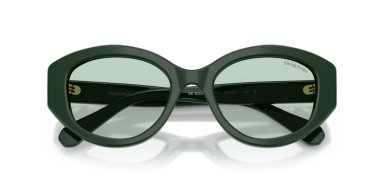 SWAROVSKI SK6005 SK6005 1026M1 53 - 5