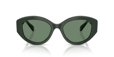 SWAROVSKI SK6005 SK6005 1026M1 53 - 6