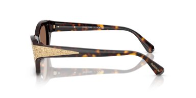 SWAROVSKI SK6029 - 2