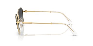 SWAROVSKI  SK7029 - 2