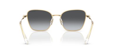 SWAROVSKI  SK7029 - 3
