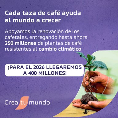CAFÉ NESCAFÉ® VAINILLA LATTE 148G (8X18,5G) - 4