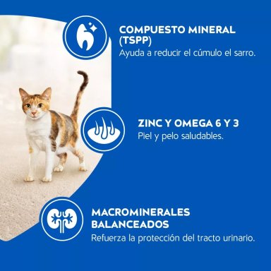 ALIMENTO SECO GATOS ADULTO CAT CHOW 8 KG DELIMIX - 5