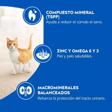 ALIMENTO SECO GATOS ADULTO CAT CHOW SABOR PESCADO 3 KG - 4