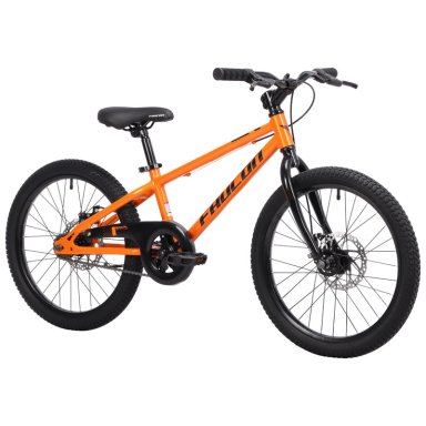 BICICLETA INFANTIL BAIKAL ARO 20 - 2