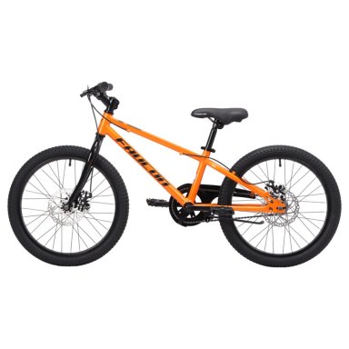 BICICLETA INFANTIL BAIKAL ARO 20 - 4