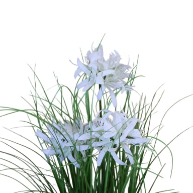 GRASS LILY FLOR DE LIRIO CON MACETERO 70 CM DE ALTURA - 3