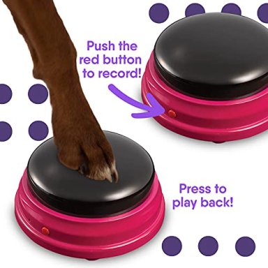 TALKING PET - 2