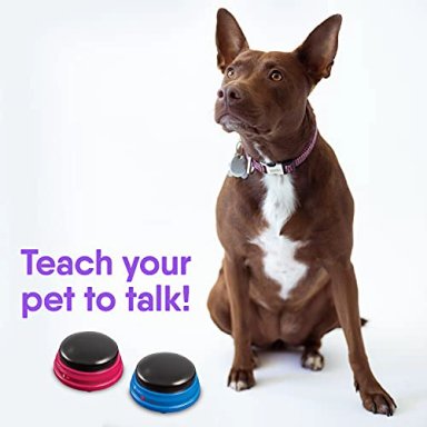 TALKING PET - 3