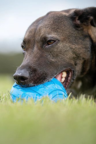 NERF JUGUETE FUTBOL CON SONIDO PARA PERRO - 2