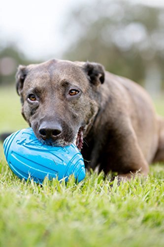 NERF JUGUETE FUTBOL CON SONIDO PARA PERRO - 3