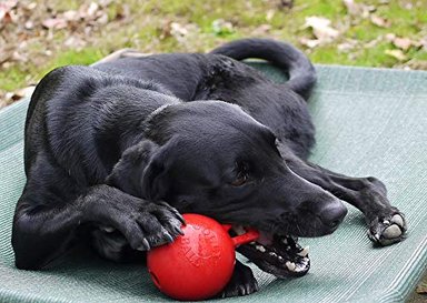 JOLLY PETS BOLA DE JUGUETE PARA PERRO CON DISPENSADOR DE GOLOSINAS - 2