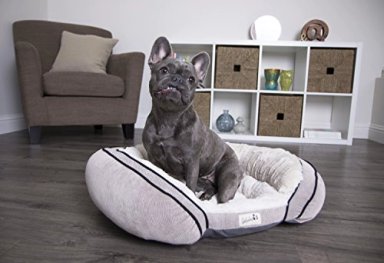 MAJESTIC PET CITRUS BLOOMS CAMA RECTANGULAR PARA MASCOTAS - 2