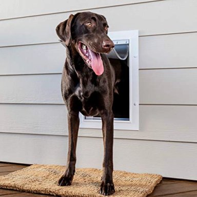 PETSAFE - PUERTAS DE PARED PARA MASCOTAS CON TUNEL TELESCOPICO TAMAÑO PEQUEÑO MEDIANO GRANDE BLANCO - 1