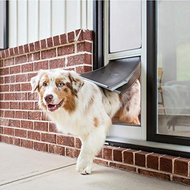 PUERTAS CORREDERAS DE CRISTAL PARA MASCOTAS PUERTA DE CLIMA EXTREMO O PUERTA ESTÁNDAR DE 2 PIEZAS - 1